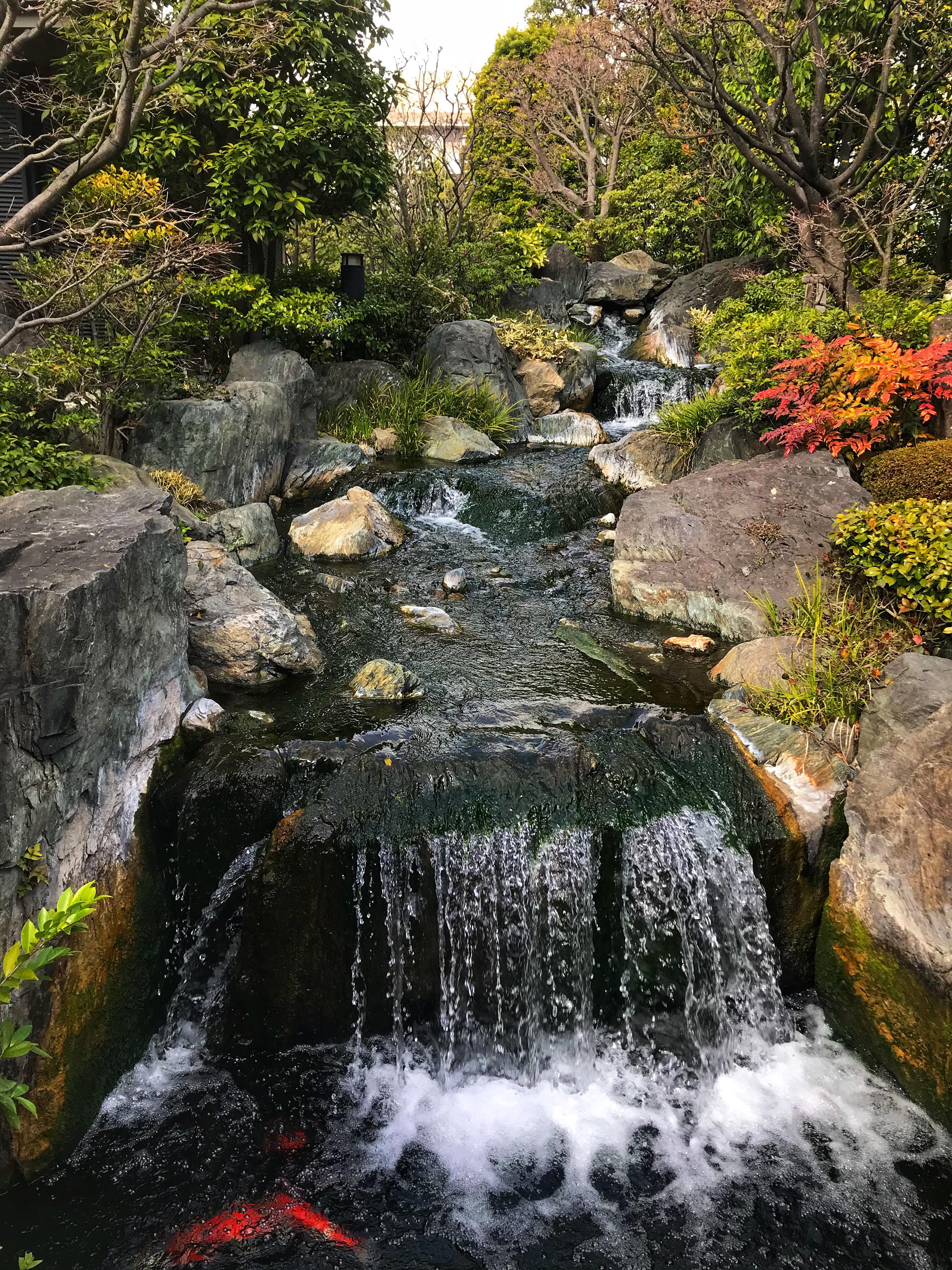 MC Minh Tuan (12).jpg